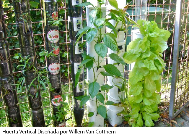 ¿Cómo hacer una huerta vertical con botellas de plástico?
